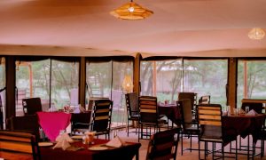 Gallery Thumbnail 10