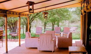 Gallery Thumbnail 11